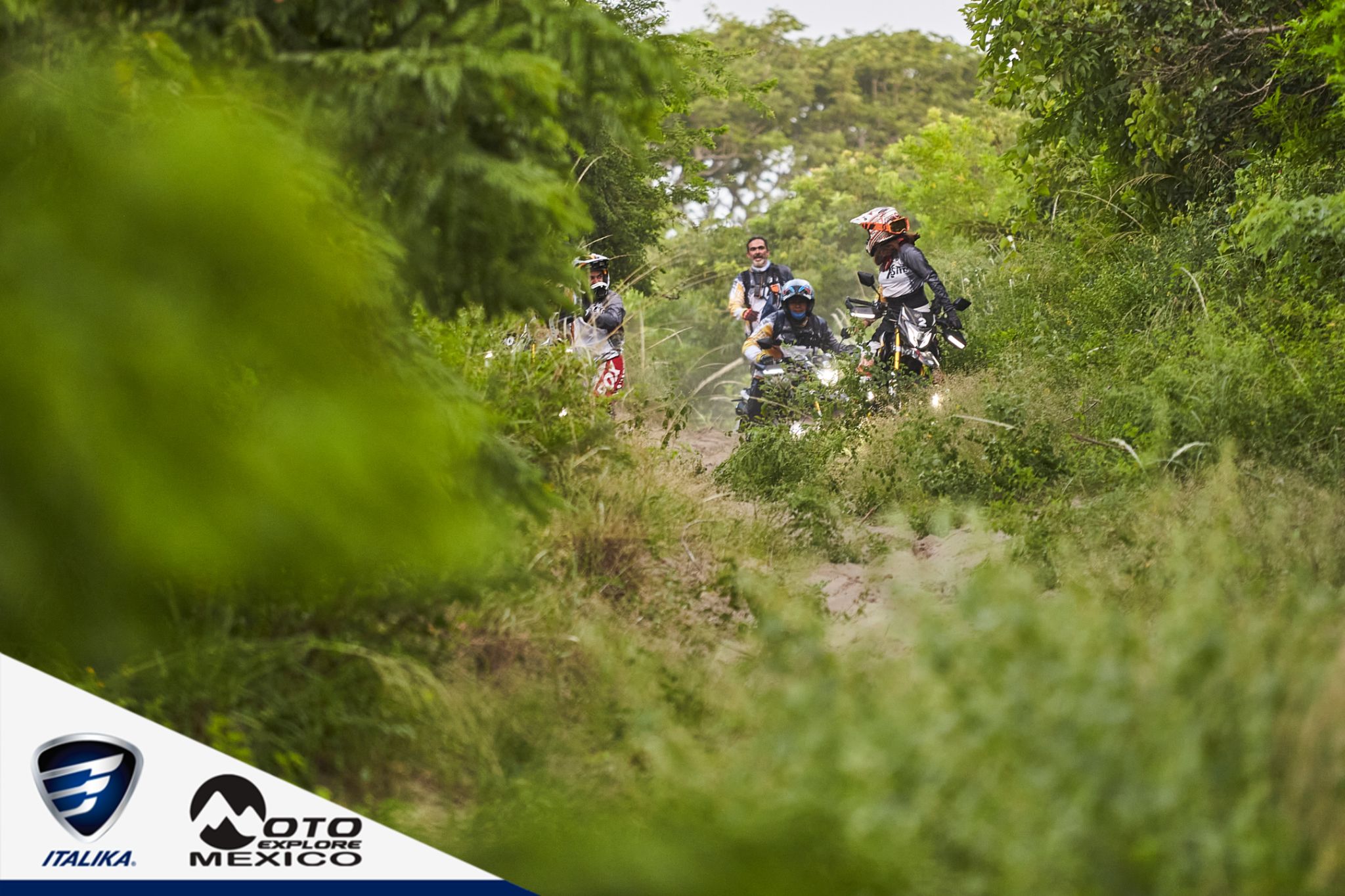 ITALIKA CHACHALACAS D1 387